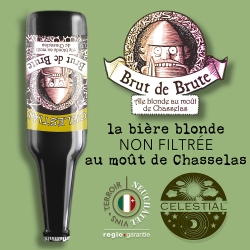 Brut de brute - Box of 12 bottles (33cl each)